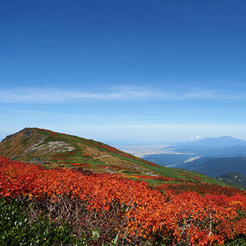 梵字川渓谷