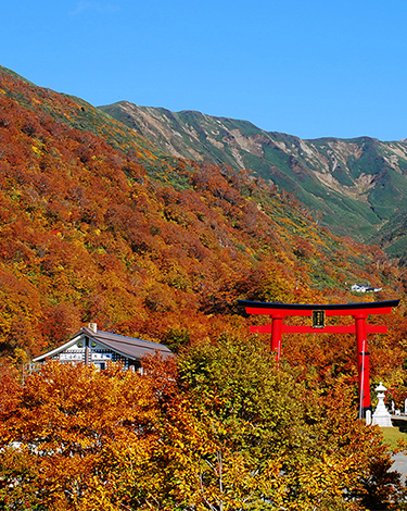 鶴岡市の観光情報