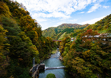 自然に囲まれてリフレッシュ！