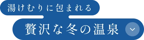 湯けむりに包まれる 「贅沢な冬の温泉」
